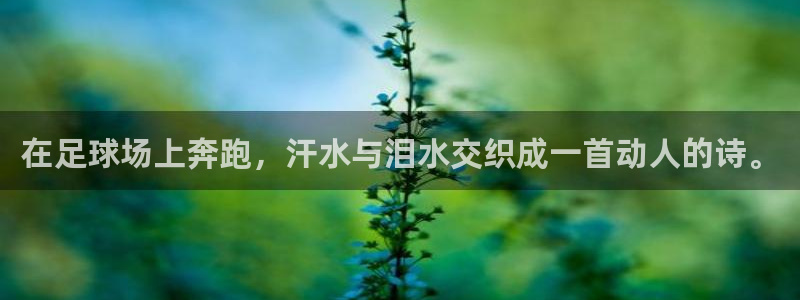 搜球体育下载：在足球场上奔跑，汗水与泪水交织成一首动人的诗。