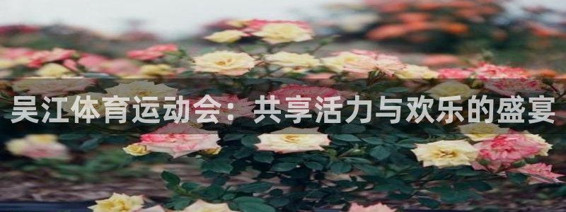 搜球体育在线观看：吴江体育运动会：共享活力与欢乐的盛宴