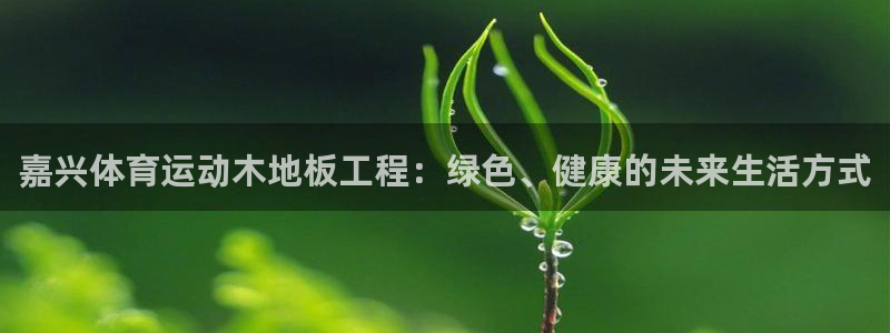 搜球体育app下载：嘉兴体育运动木地板工程：绿色、健康的未来生活方式