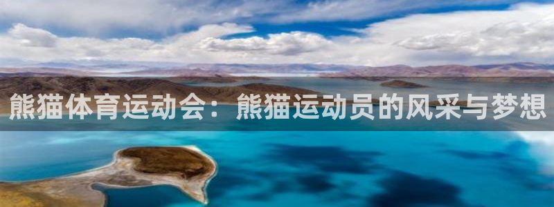 搜球体育下载：熊猫体育运动会：熊猫运动员的风采与梦想