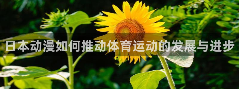 搜球体育app官方版下载：日本动漫如何推动体育运动的发展与进步