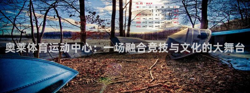 搜球体育怎么登录账号：奥莱体育运动中心：一场融合竞技与文化的大舞台