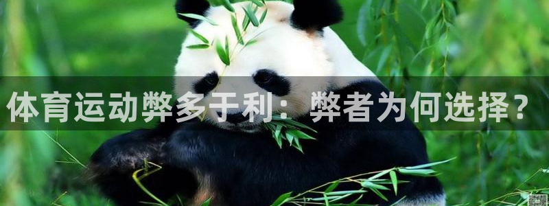 搜球体育CCT5：体育运动弊多于利：弊者为何选择？