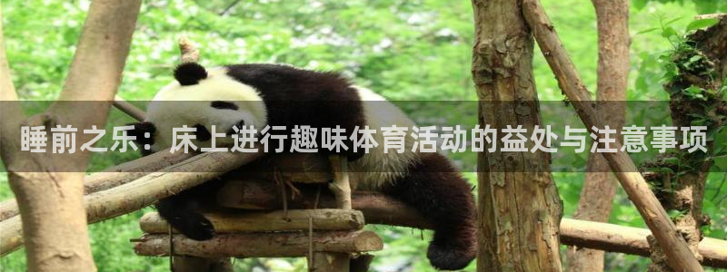 搜球体育app官网入口：睡前之乐：床上进行趣味体育活动的益处与注意事项