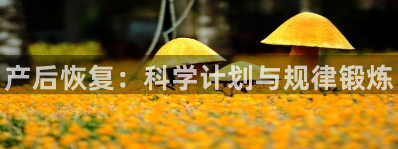 搜球体育辛纳：产后恢复：科学计划与规律锻炼